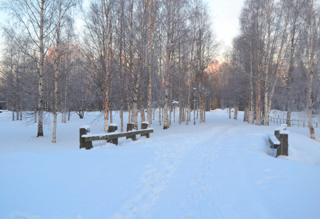 Bothnian Coast Road, historical road, a part of it in winter in Kemi.