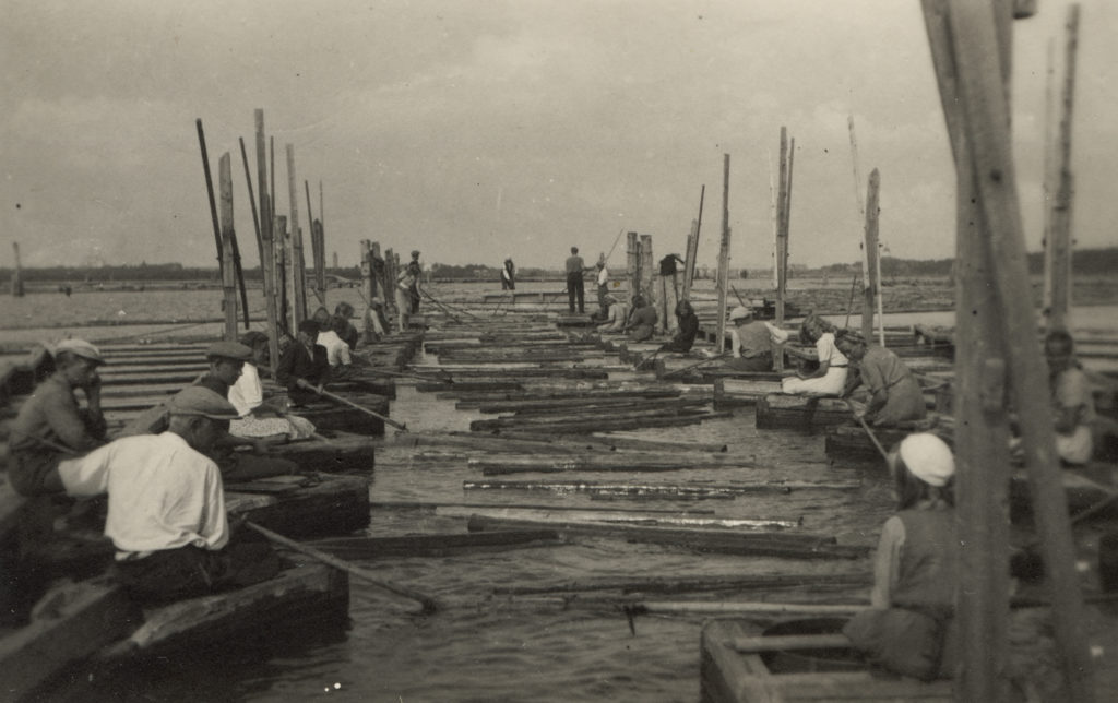 Timber floating by Kemi river.