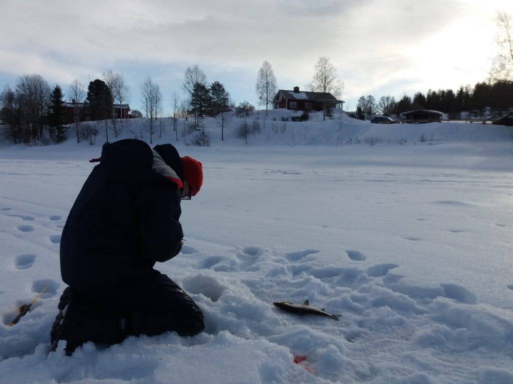 Mies pilkillä jäällä, kala vieressä lumessa.