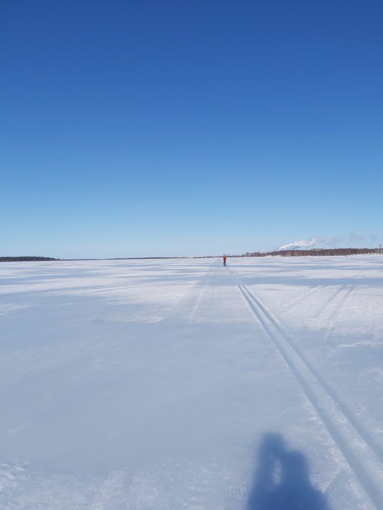 Hiihtäjä siintää kaukana merenjäällä.