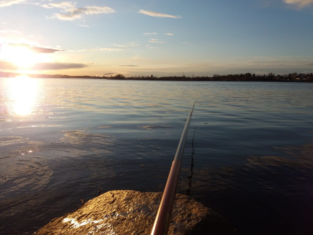 Merimaisema, lähimpänä ongenvapa ja kivi, taustalla meri ja rantaa.