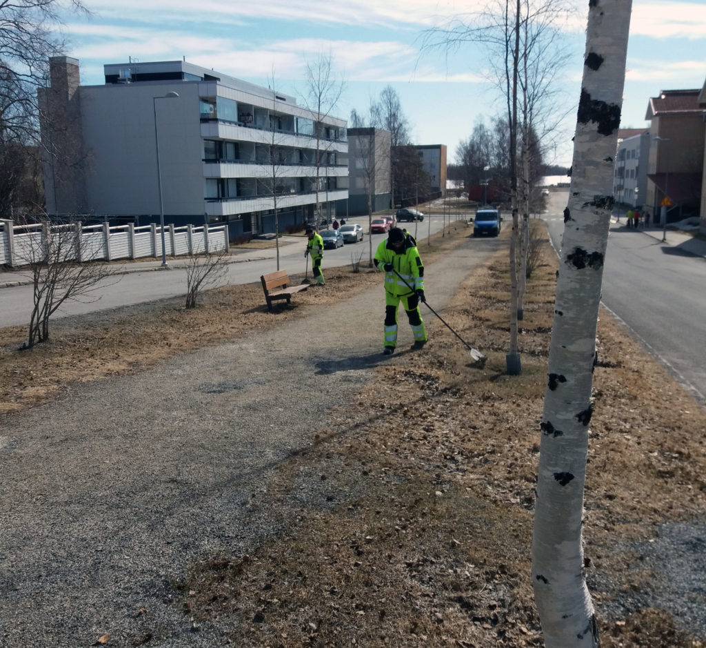 Miehiä haravoimassa puistokadulla.