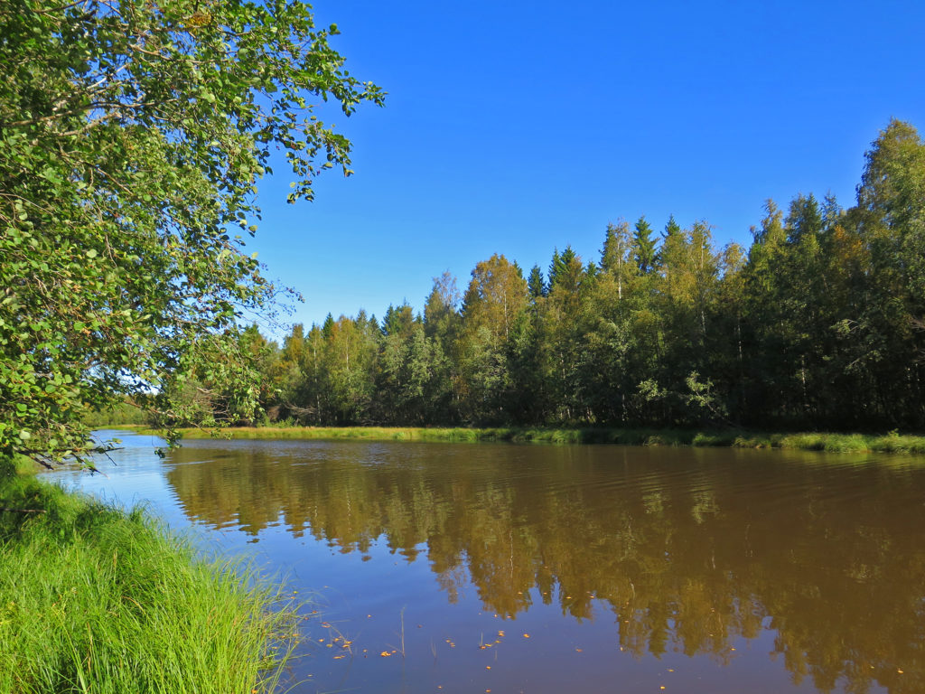 Merenlahti ja rantametsää.