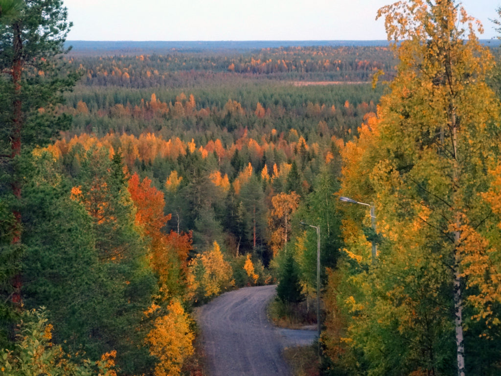 Soratie nousee vaaralle ruskametsän keskellä.