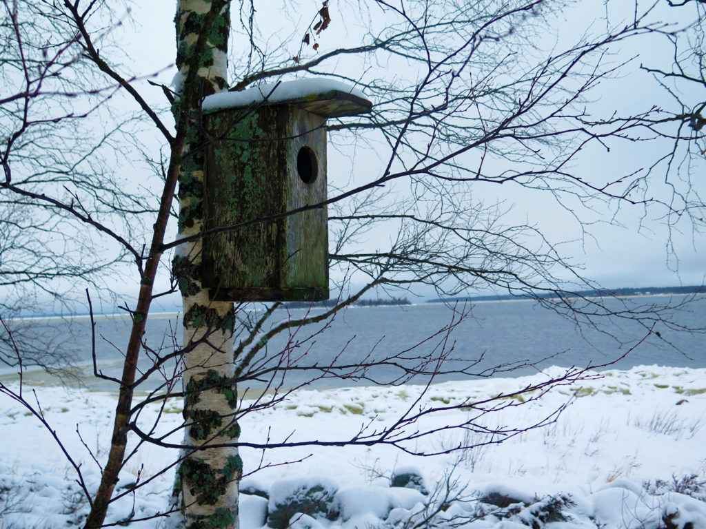 Linnunpönttö Paavonkarin rannassa.