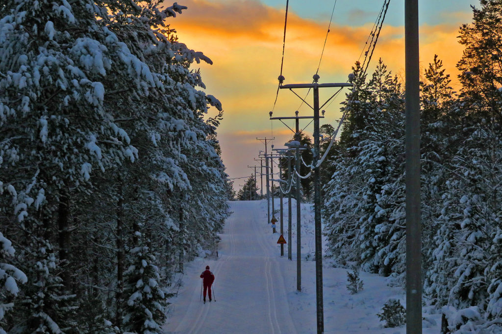 Hiihtäjä hiihtää mäkeä ylös metsässä