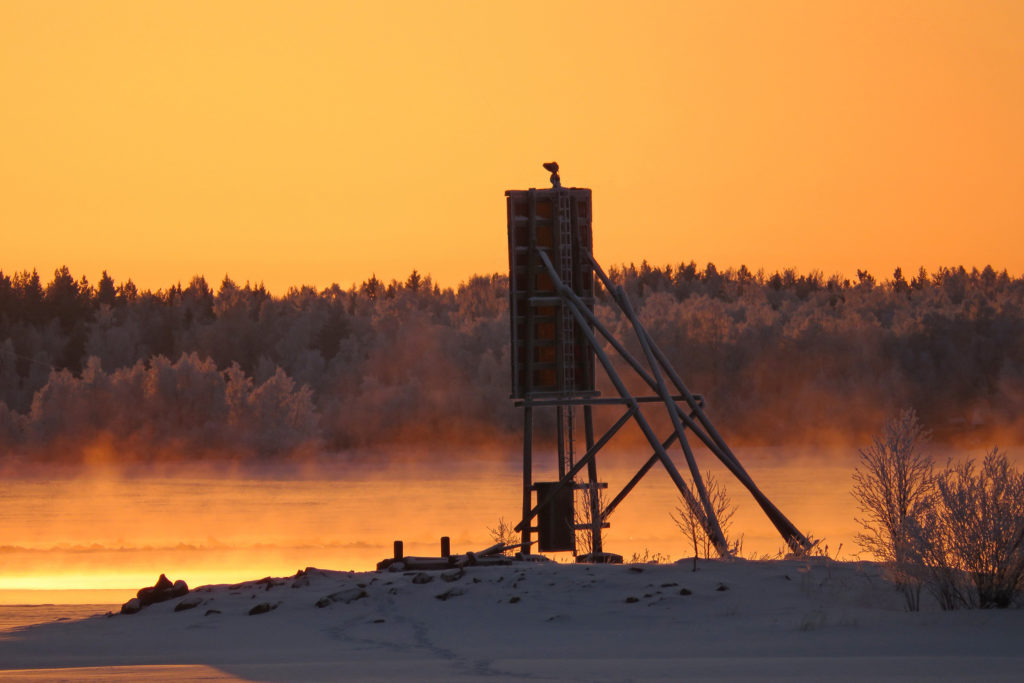 Etualalla linjamerkki, usvainen meri ja taustalla metsää