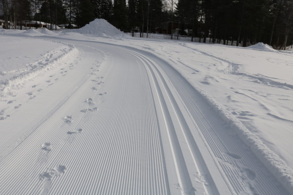 Ladun vieressä on kävellen opettavalle hyvä tila.